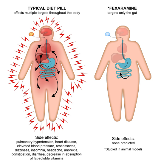 how fat burners work in the body
